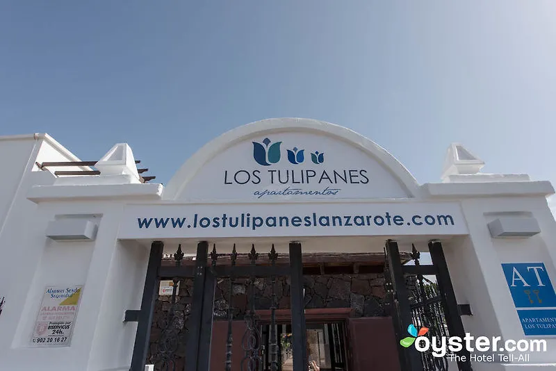 بويرتو ذيل كارمين Los Tulipanes بويرتو ذيل كارمين